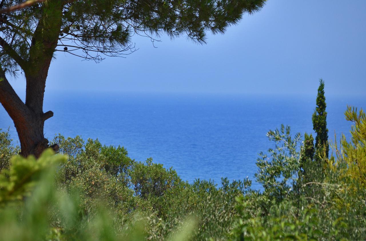 Sole E Mare Apartments Tsilivi  Luaran gambar