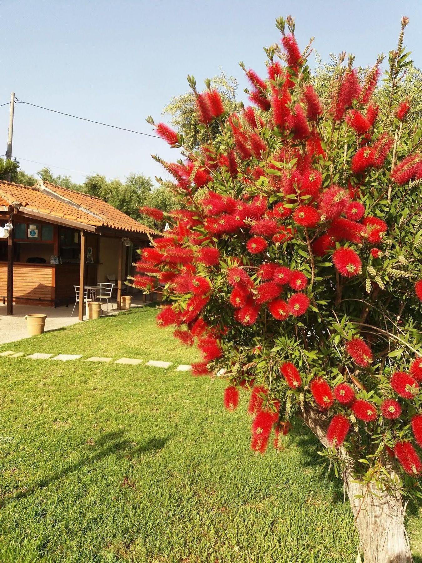 Sole E Mare Apartments Tsilivi  Luaran gambar
