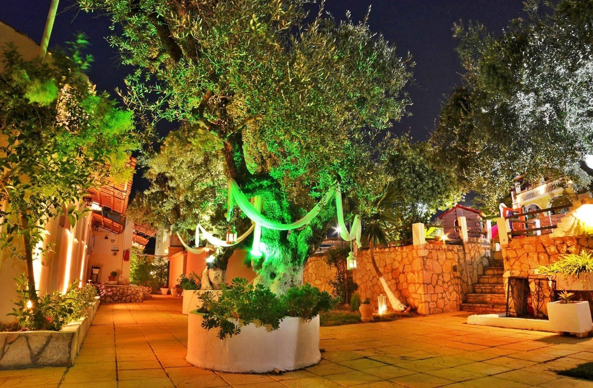 Sole E Mare Apartments Tsilivi  Luaran gambar